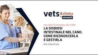 07.IT La disbiosi intestinale nel cane: come riconoscerla e gestirla (Dott. PROCOLI)