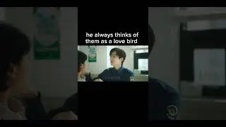 @miss night and day  @kdrama @cdrama @love birds