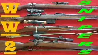 My Collection of WW2 Sniper Rifles Original K98,1903a4,G43,Mosin Nagant 91/30 German 98k WWII Mauser