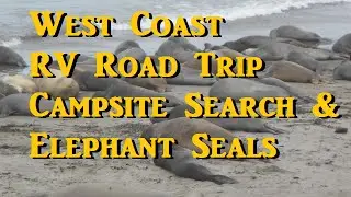 West Coast RV Road Trip - Search for a campsite - Elephant Seals