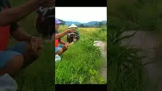 Mancing Wader Di Parit Sawah