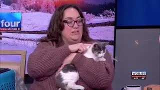 PetTalk Urges Pet Preparation for Winter Weather