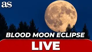 LIVE: Stunning BLOOD MOON ECLIPSE lights up the sky WORLDWIDE