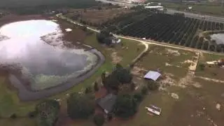 6840 Blue Cedar Rd Leesburg FL 34748 HD