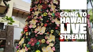Going to Hawaii LIVE! Let's Walk Waikiki! #hawaii #beach #travel 