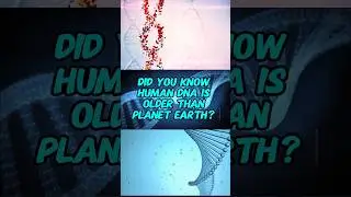 Did you know that human DNA might be older than planet Earth!  #dna #earth #facts #science