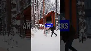 Mysterious Snow Prints!