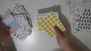 Massive Sticker Declutter | Planner