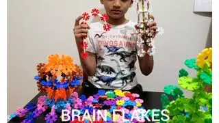 BRAIN FLAKES TOY Explanation