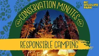 Responsible Camping