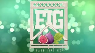 Fast Info Gov Channel Intro