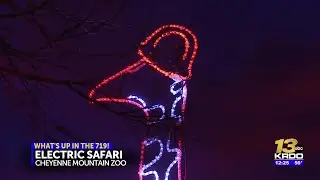 New sculptures debut at Cheyenne Mountain Zoo &ldquo;Electric Safari&rdquo; light show