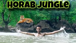 Horab Jungle Ranchi | SP LIFE