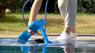 Dolphin Poolreiniger F40