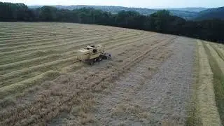 New Holland TX62 in laid barley2025.