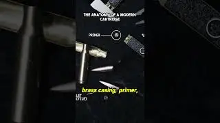 Unlock the Secrets of Modern Firearm Cartridges! 🔍💥