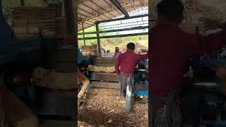 Wood debarking working big machine part 78 #viral #wood #wooddebarking #shorts