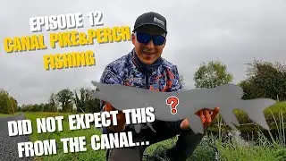 Ловля щуки и окуня на канале в Ирландии | PB Canal Pike на мягкие приманки
