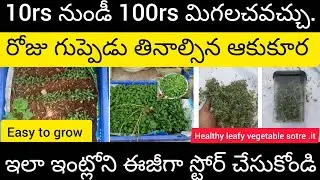 మార్కెట్ లో కొనే కస్తూరి మెంతి (menthikura🍲👌)ఇలా చేసి పెట్టుకుంటే ఇన్ని రోజులైనా పా డవదు.