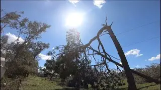 *extended* HURRICANE IAN STORM CLEAN UP TREE WORK 2022