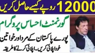 prime minister ehsaas program in urdu | ehsas emergency programme