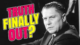 How The Netflix True Story Of JIMMY HOFFA Came About