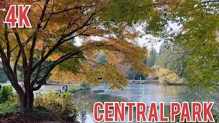 [4K]Walk Canada, CENTRAL PARK BURNABY CITY,Autumn walk,Nov2022