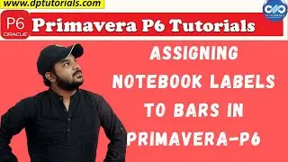Assigning Notebook labels to PRIMAVERA P6 Gantt Chart Bars || Primavera P6