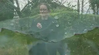 'Escape to the Wild' - a creative film in response to the Wild exhibition