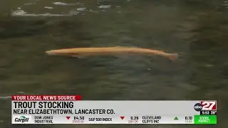Pennsylvania trout stocking begins statewide