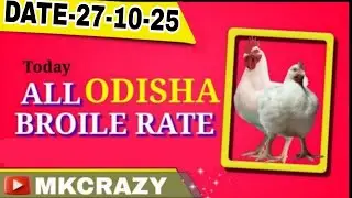 #TodayBroilerRate #Todaychickenrate All odisha broiler rate #Date_27_10_2025  #broilerrate #Mkcrazy 