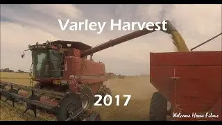 Varley Harvest 2017