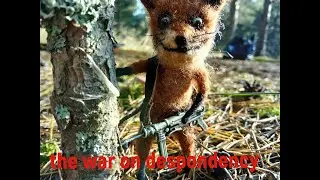 funny Animals That Will Make Your Day/забавные Животные, Которые Сделают Ваш День #4