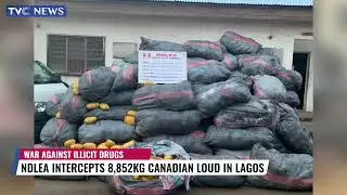 (WATCH) NDLEA Intercepts 8,852KG Canadian Loud In Lagos