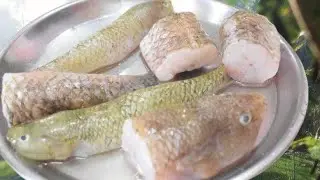 ᱢᱟᱛᱠᱚᱢ ᱦᱟᱠᱳ ᱩᱛᱩ || matkom(TANK GOBY) hako utu🍲🍲