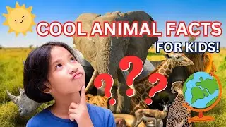 Animal Tidbits: Fascinating Facts about Kids' Favorite Creatures!