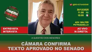 INSIEME AO VIVO | Menores: Câmara confirma texto do Senado