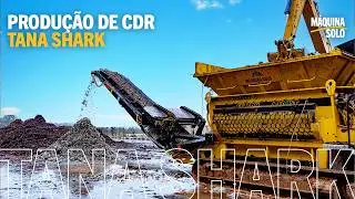 TANA SHARK  NA PRODU&Ccedil;&Atilde;O DE CDR