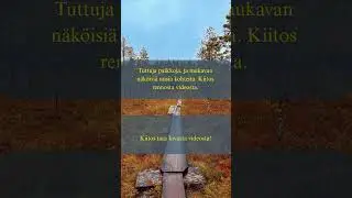 KATSOJAPALAUTTEITA #matkailuauto #matkailu #suomivlogi #travel