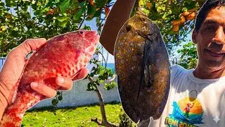 Pesca Exótica En La República Dominicana 