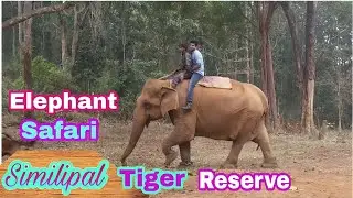 #Elephant safari in Similipal tiger reserve,Mayurbhanj,Odisha,India||WWF||places to visit in odisha