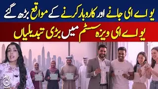 UAE Introduces New Visa Categories Including AI and Event Visas - Pakistan news