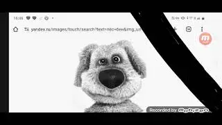 Пёс Бен скончался на 77-м году жизни 360