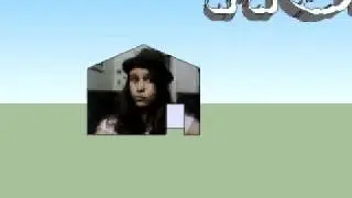 mohouse.avi