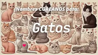&iquest;C&oacute;mo Llamar a tu Gato en Coreano? 🐱 &iexcl;10 Nombres &Uacute;nicos y Lindos!