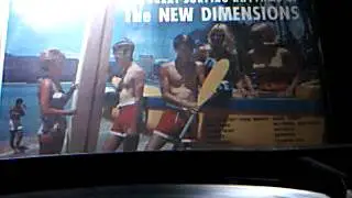 The New Dimensions -  Cat on a Hot Foam Board - vinyl LP