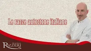 lorenzorizzieri.it - Razze suine autoctone italiane