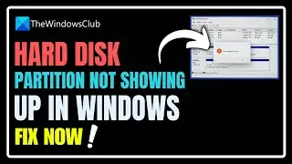 Hard Disk Partition not showing up in Windows 11