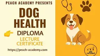 Diploma in Dog Health video