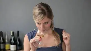 Crémant d'Alsace 2007 - Bu sur le web